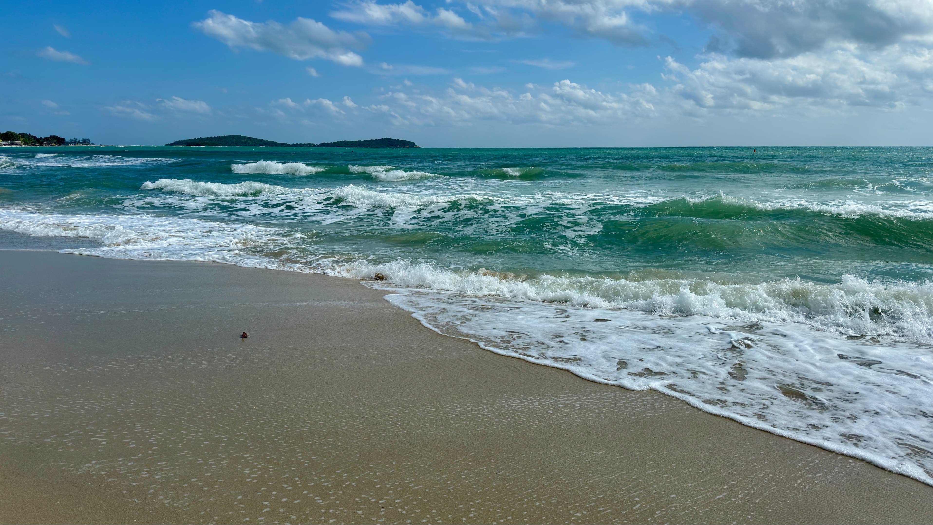 2026%20plage_4291