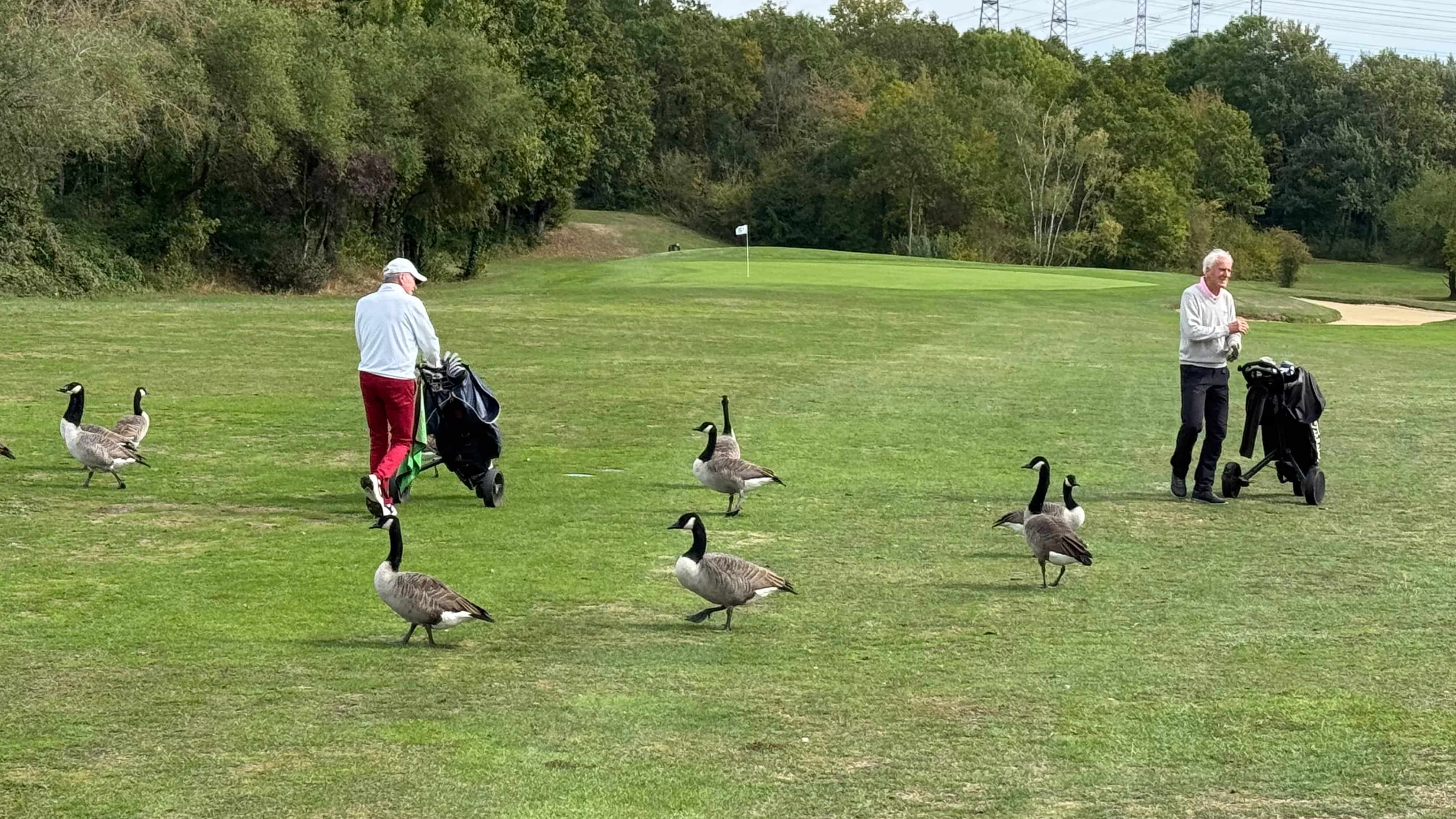 IMG_7298 RFST%20seraincourt