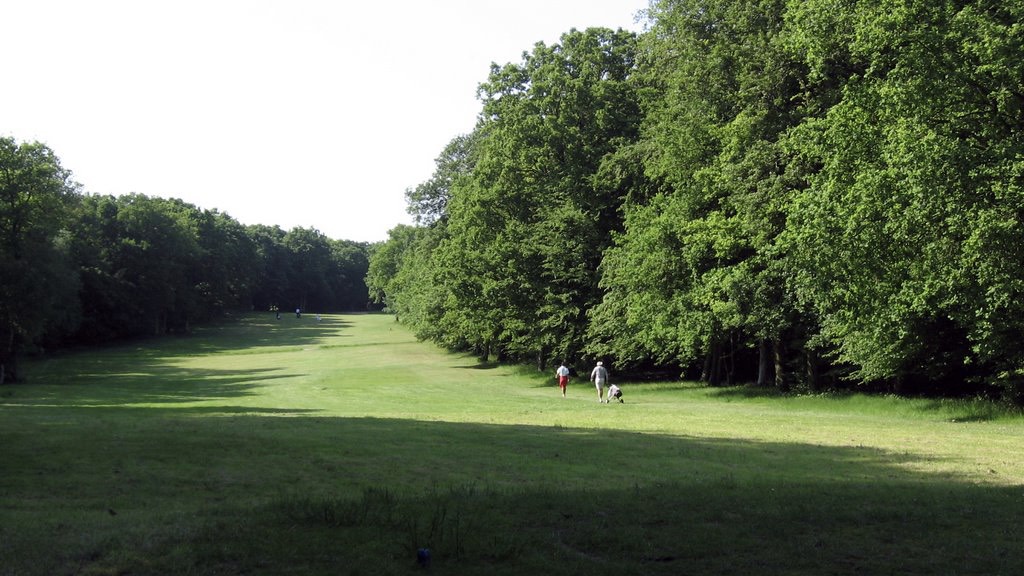 cap golf club bois de ruminghem.jpeg